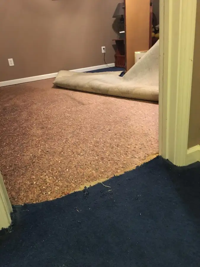 Carpet pad removal revealing water damage during Drying & Dehumidification in Wawarsing